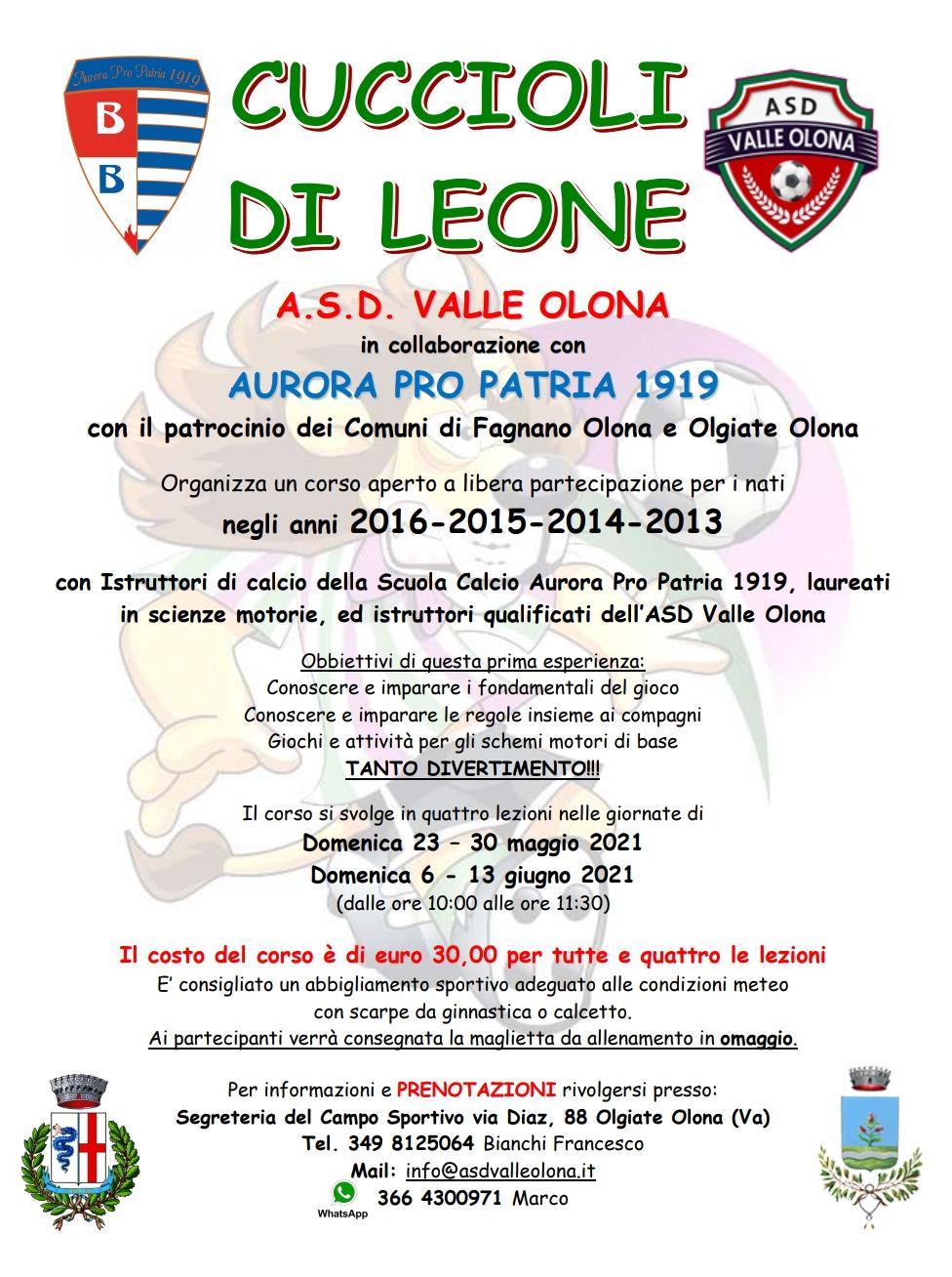 Corso di calcio per i Cuccioli di Leone